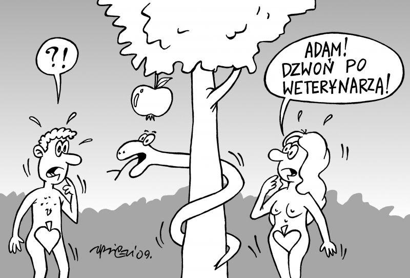 Żmije niczyje