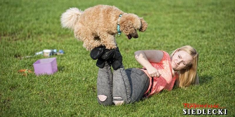 Pupile w akcji