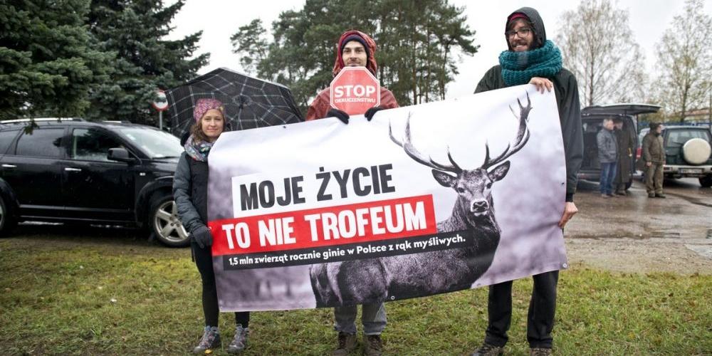 Obrońcy zwierząt w akcji...