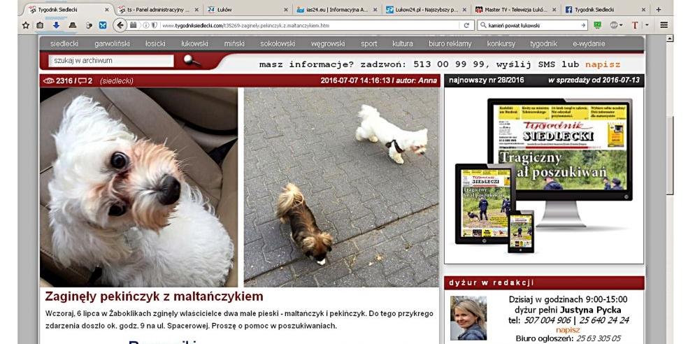 Pieski odnalezione!