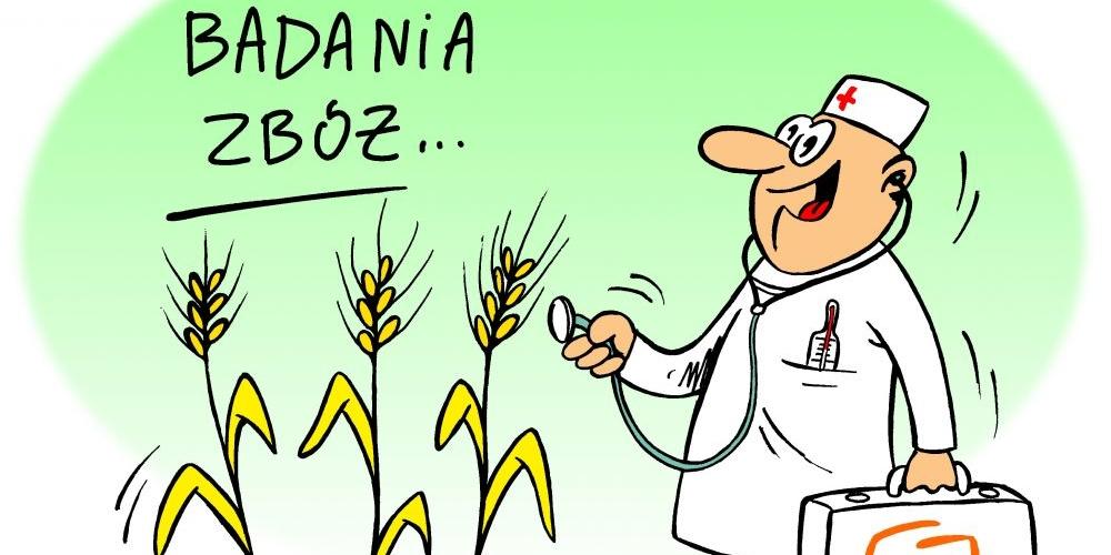 Dobry do czasu