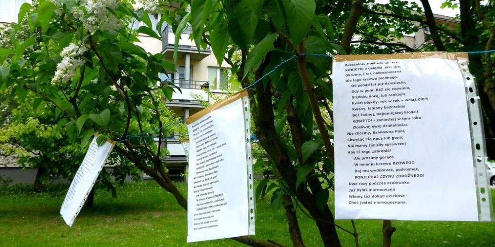Poezją w obronie przyrody
