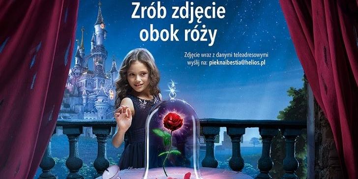 Odwiedź magiczny Disneyland® Paris z kinem Helios!