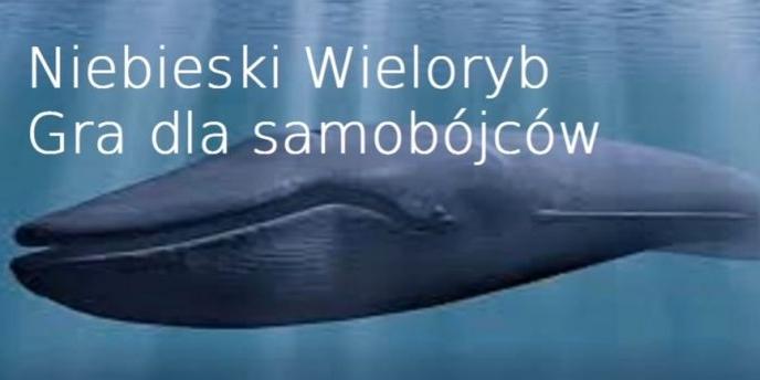 Policja ostrzega przed grą „Błękitny wieloryb”