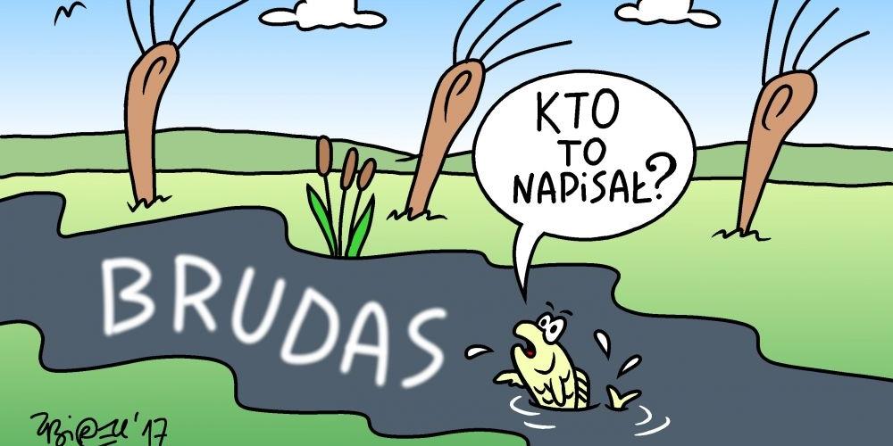 Kosówka będzie czysta