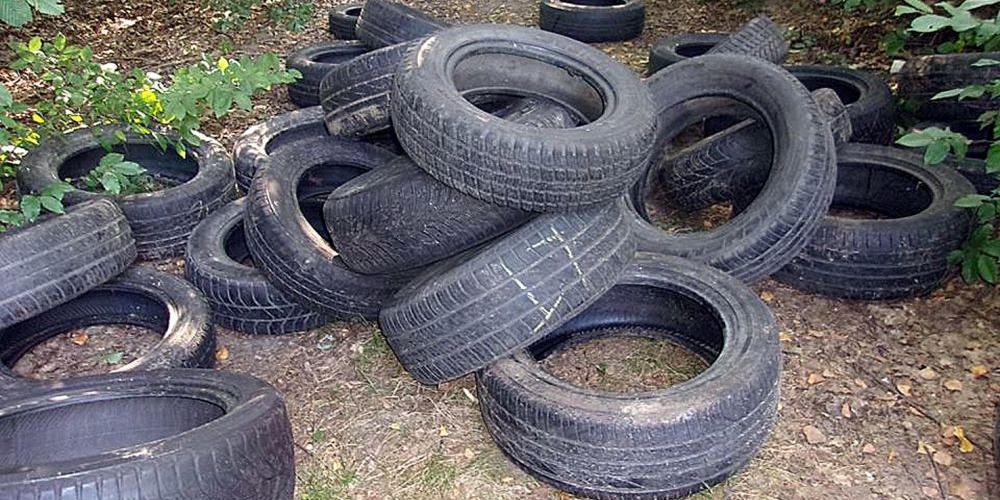 Teraz nagroda, potem fotopułapki
