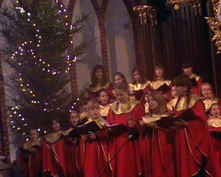 Koncert scholi katedralnej (wideo)