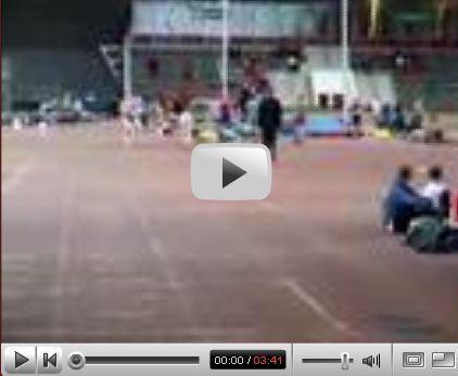 Siedlczanie w Homlu (wideo)