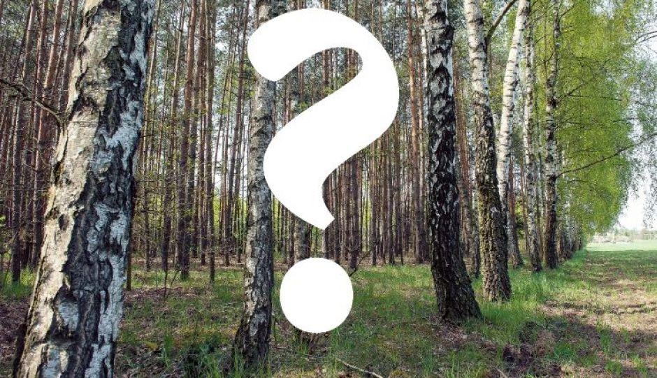 Co naprawdę stało się w Kołaczu?