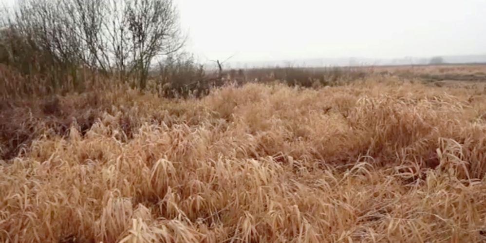 Kim jest osoba, której ciało znaleziono nad Zalewem?