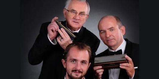 Mistrzowie harmonijki w Łukowie