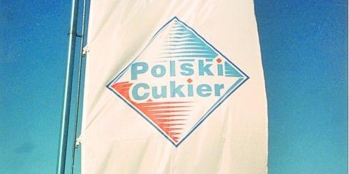 Chciwość  odbiera rozum?