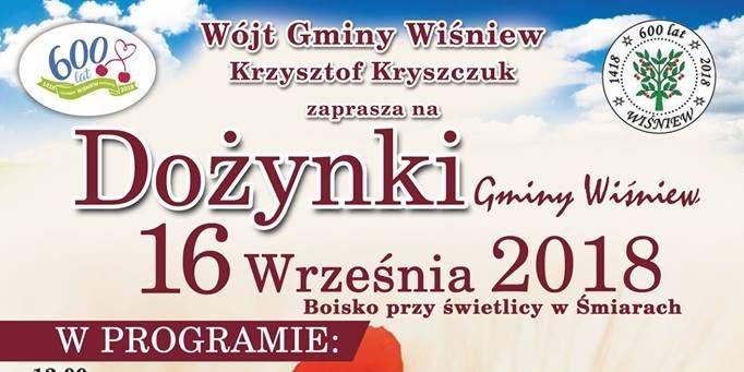 Dożynki w Wiśniewie