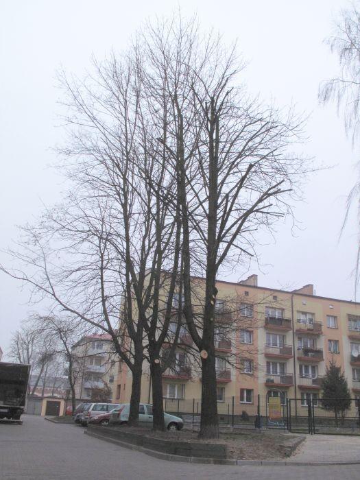 Zredukowane, ale nie do końca