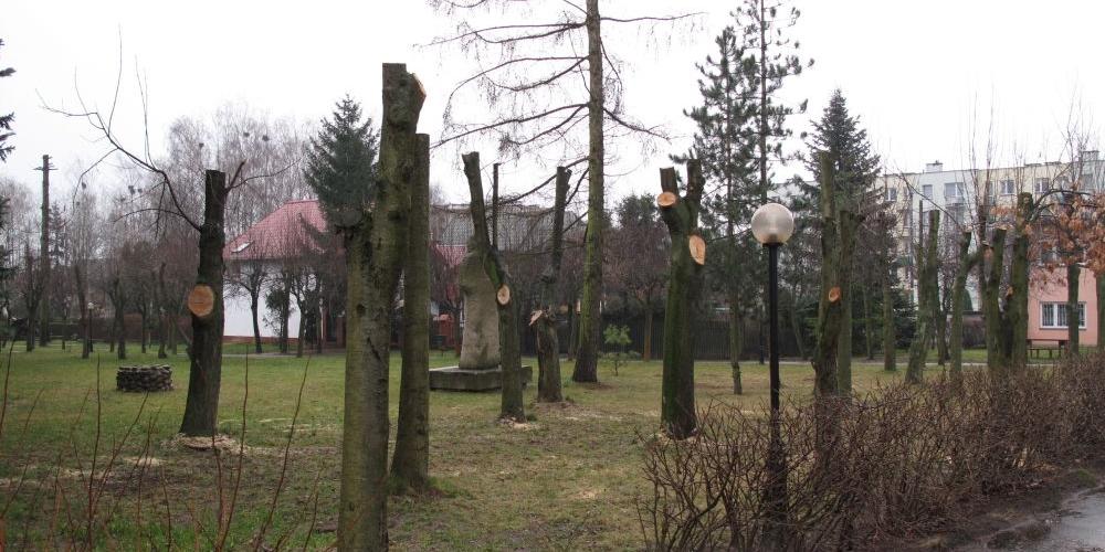 Niech się zazielenią
