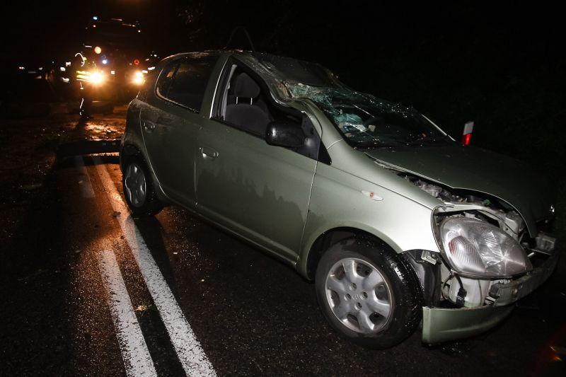 Upadające drzewo przygniotło toyotę? (zdjęcia)