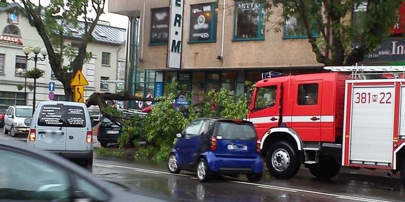 Drzewo zawaliło się na zaparkowane auta