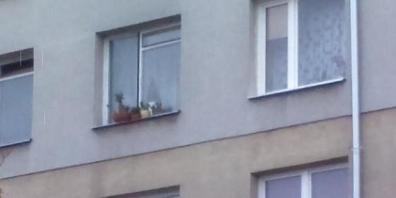 Bezmyślność