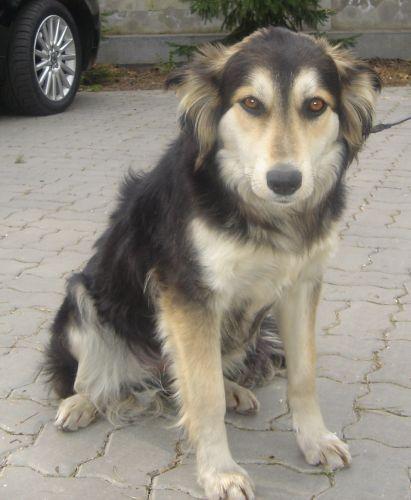 Znaleziona
