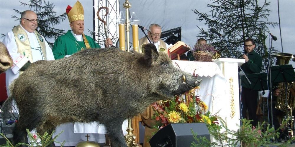 Hubertus węgrowski