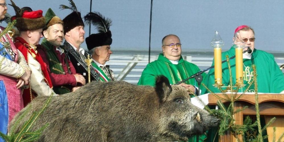 V Hubertus Węgrowski