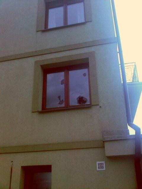 Wybite szyby u szefa siedleckiej PO