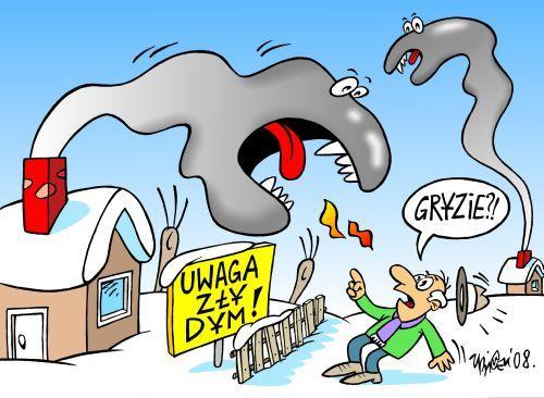 Palą i trują 
