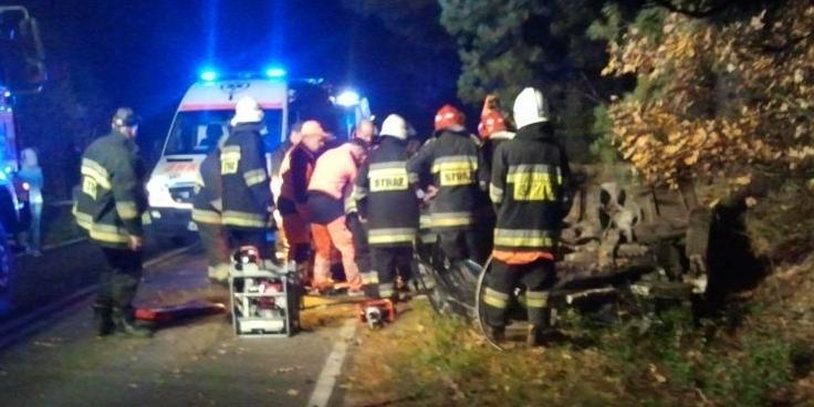 Dzik wyskoczył przed samochód