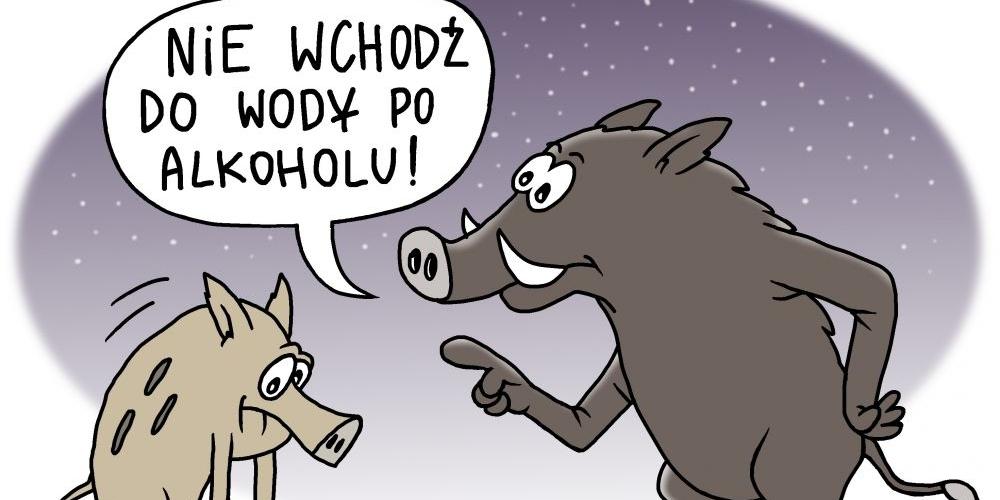 Na drinka, potem do kanału