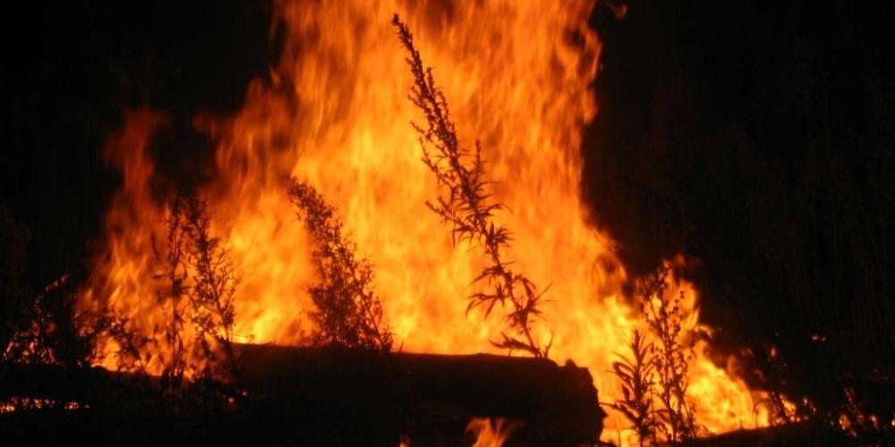 Sześć pożarów jednego dnia