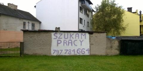 Desperacja w poszukiwaniu pracy?