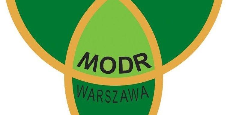 Doradcy pracują dłużej