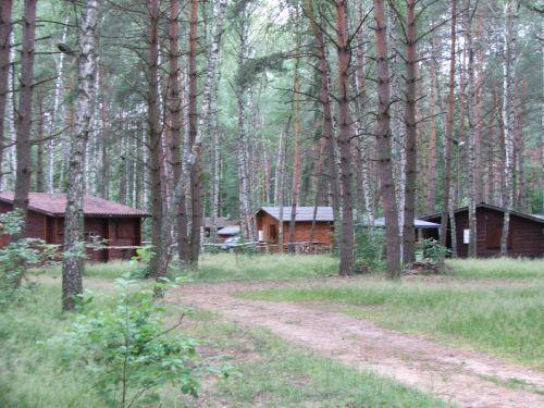 Prezesi wystawili towarzystwo do wiatru