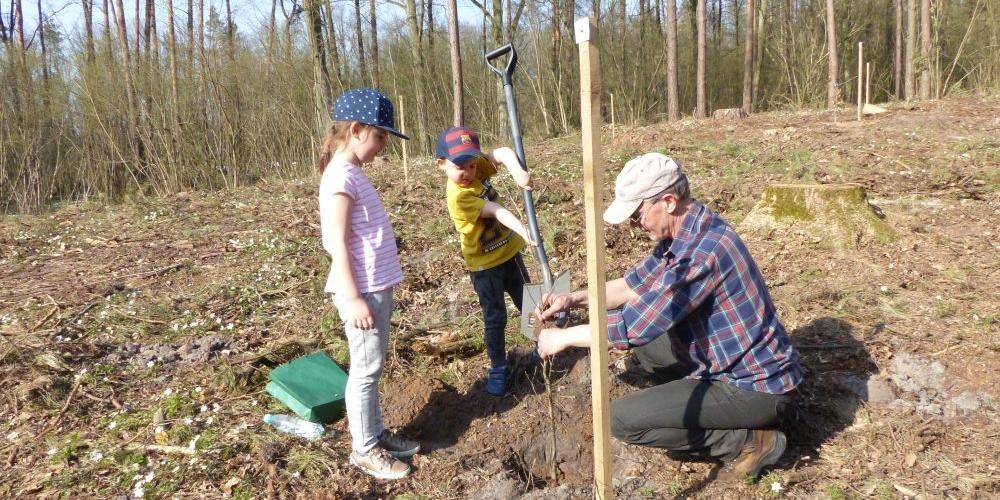 100 drzew na 100-lecie niepodległości aktualizacja
