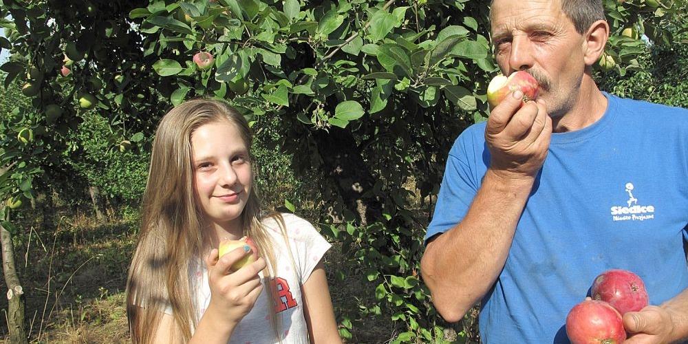 Ile polskich jabłek damy radę zjeść?