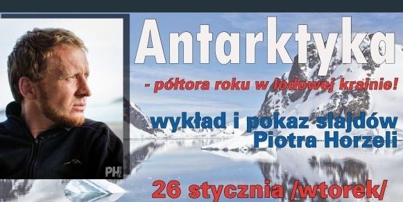 O podglądaniu pingwinów