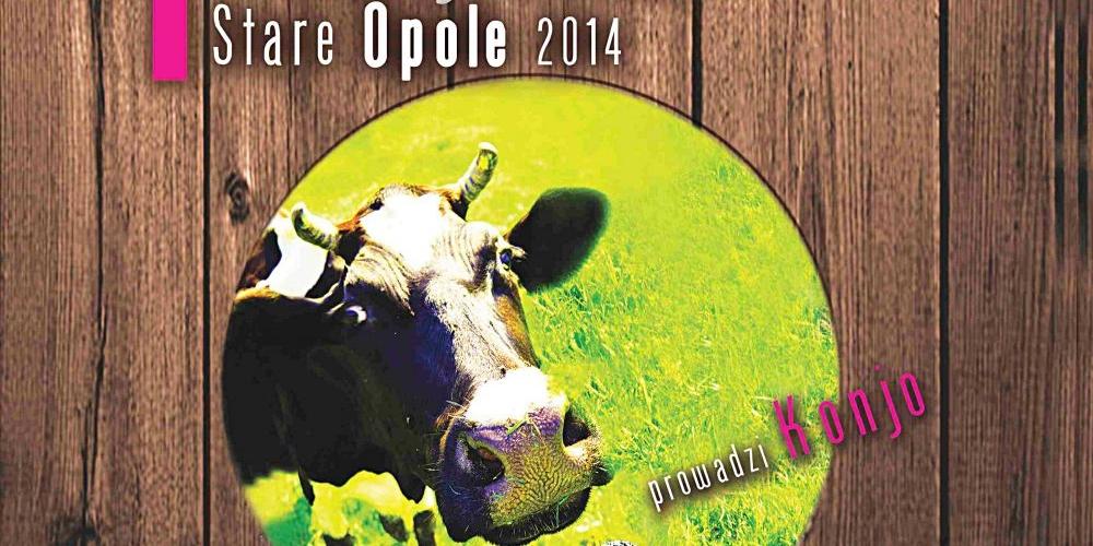 Festiwalowo w Opolu (Starym)