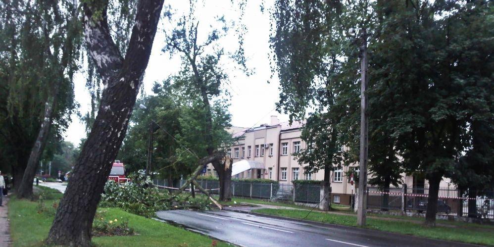 Silny wiatr w powiecie sokołowskim