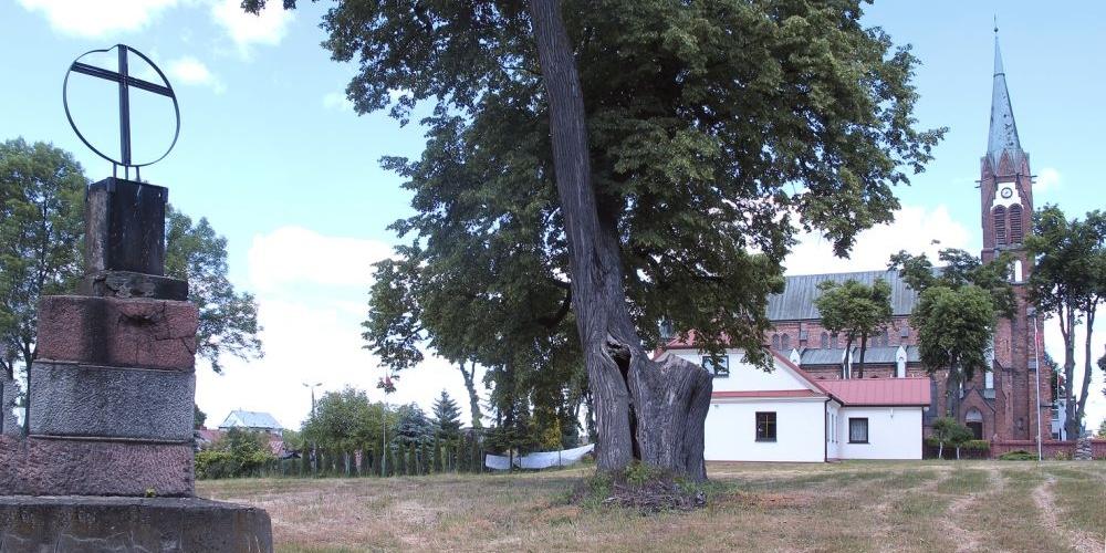 Kałusiaki to stary ród