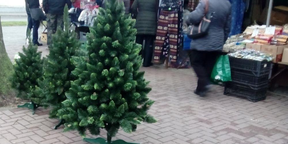 Komu choinkę?