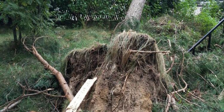 Połamane drzewa i podtopiona droga