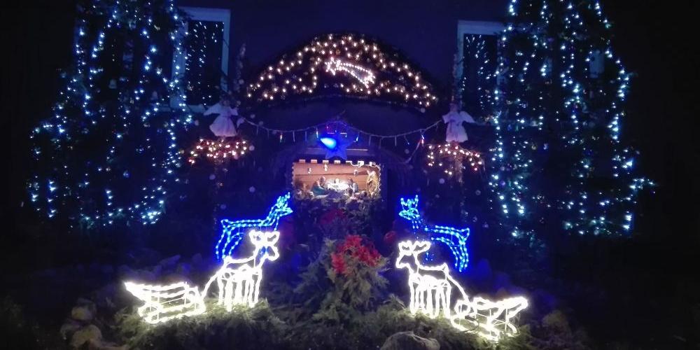 Iluminacja w Domanicach Kolonii