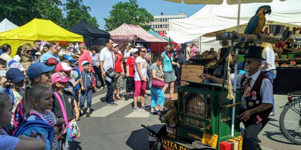 Koguciki, baloniki i dyspensa