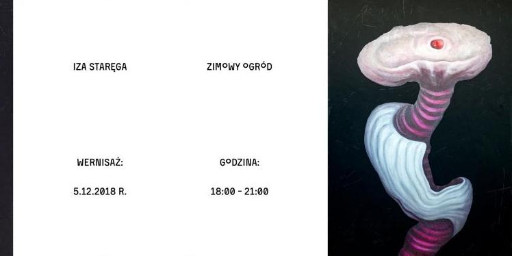 Wnętrznienia Izy Staręgi