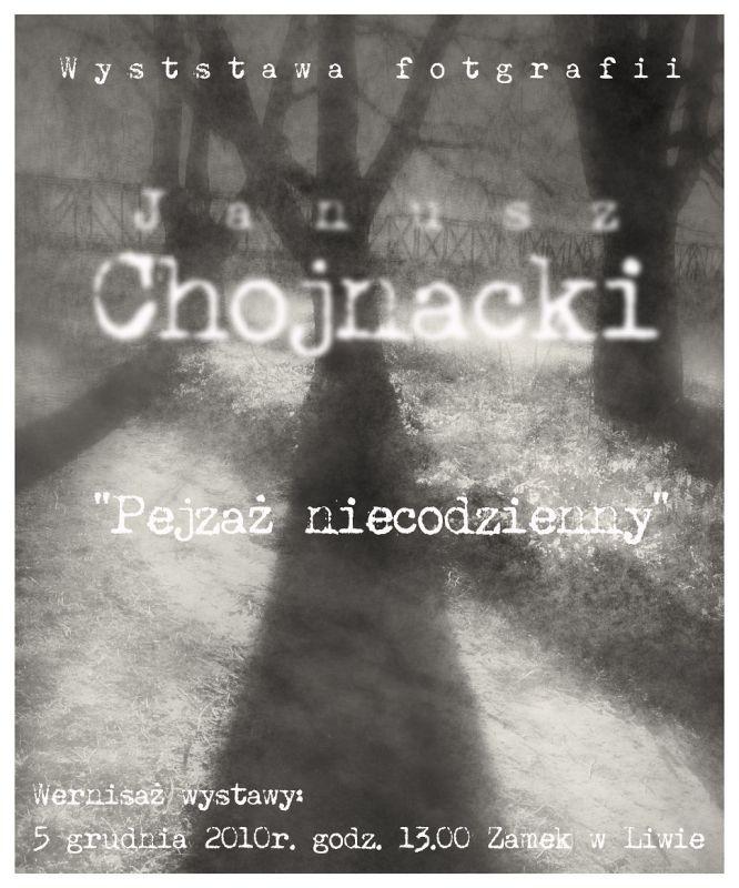 Pejzaż niecodzienny na Zamku w Liwie