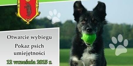 Coś dla czworonogów