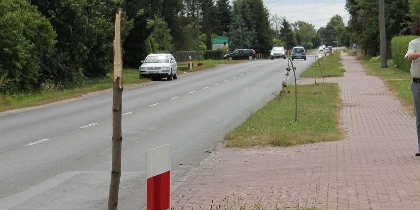 Nagroda za wskazanie wandala 