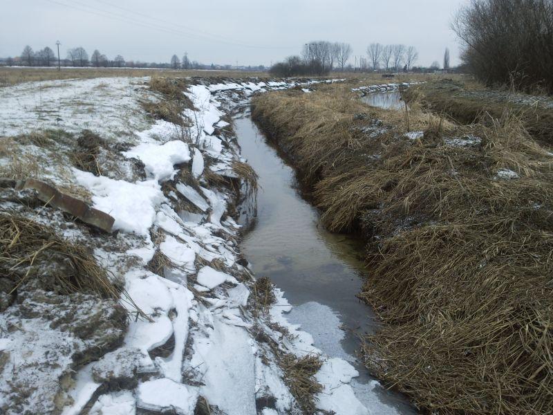 Co jest przyczyną podtopień ogródków działkowych? 