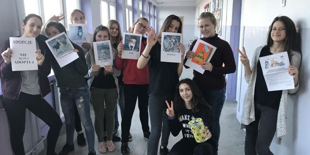 Ty też możesz pomóc psiakom!