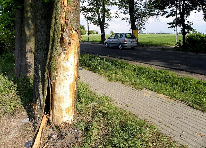 Astrą uderzył w drzewo